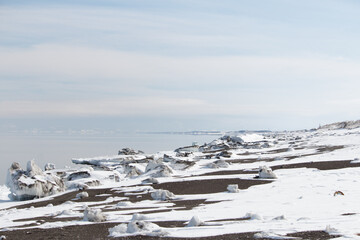 Wall Mural - Washed up sea ice on a winter beach