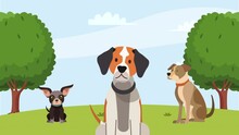 Three Dogs In The Park Animation