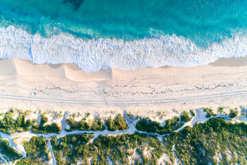 Wall Mural - Aerial view of sandy beach with waves and trees. Sunny day in summer with transparent tropical blue water. Travel to Shorehaven Beach, Western Australia. Top view. Coastal, Seascape