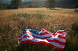 USA flag on the meadow