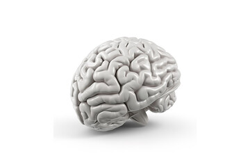 Poster - Human brain isolated on white background. generative ai