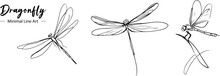 A Dragonfly Line Art Vector Drawing 