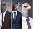 Collage, leadership and animal head or business people or alpha surrealism with eagle boss on studio background. Abstract, hawk and predator or corporate power birds or wild or strong and dangerous
