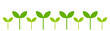 Plants seedlings border. Green spring plants, flat design png illustration.
