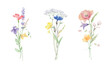 Wildflowers and Butterflies Watercolor vector bouquet isolated on white background.
