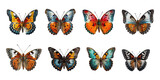 Fototapeta Motyle - A set of butterflies with different colors isolated on a white background