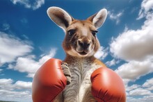 Ready To Rumble! A Comical Portrait Of A Kangaroo Donning Boxing Gloves, Getting Ready For A Match Against A Clear Blue Sky.