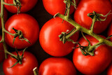 Fototapeta Kuchnia - tomatoes on branch the food background