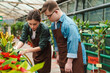 © Drobot Dean - Woman florist and man with down syndrome taking care of flowers in greenhouse