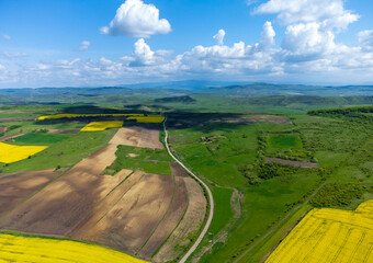 Poster - Aerial landscape with a dirt road between fields and agricultural crops