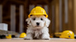 white fluffy dog engineer in yellow construction helmet, Generative AI