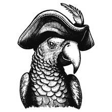 Parrot Wearing Pirate Hat Vector Sketch