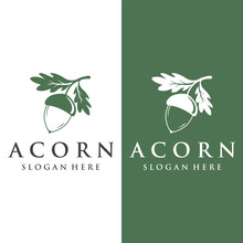 Acorn Logo Template Design With Leaves With Editable Vector Illustration.