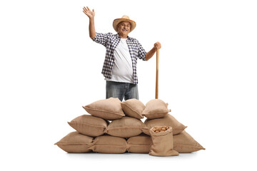 Sticker - Smiling farmer standing behind burlap sacks of potatoes and waving