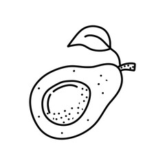 Poster - Avocado doodle outline icon. Logo organic fruit and vegetable isolated illustration.