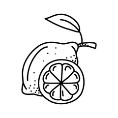 Sticker - Lemon doodle illustrations in vector. Hand drawn lemon illustrations in vector.