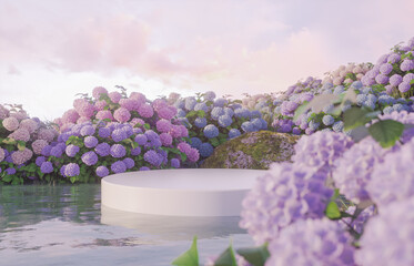 Poster - Natural beauty podium backdrop for product display with Hydrangea field. 3d rendering.