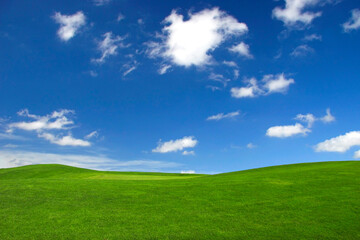 Sticker - Beautiful green landscape with a great blue sky with white clouds