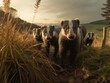 Group of Badger in natural habitat (generative AI)