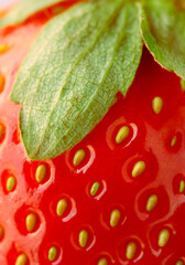 Wall Mural - Strawberry closeup