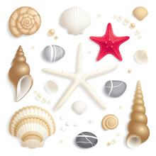 Set Of Seashells, Starfishes And Pebbles