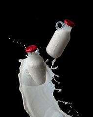 Wall Mural - full milk bottle with milk splashes isolated on black background