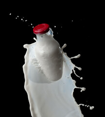 Wall Mural - full milk bottle with milk splashes isolated on black background
