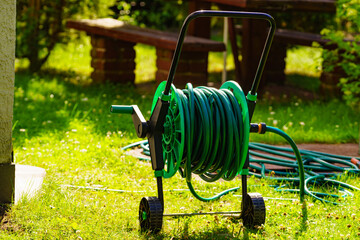 Wall Mural - Garden hose for watering plants in garden