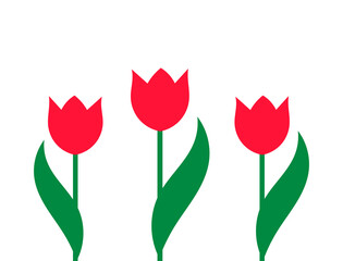Wall Mural - red tulip spring flowers on transparent background. png illustration