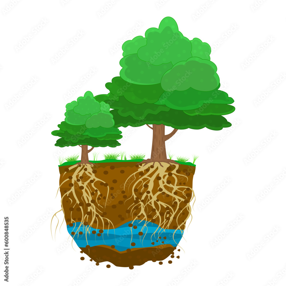 Trees with root system in soil. Tree growing in the soil. Plant with ...