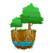 Trees with root system in soil. Tree growing in the soil. Plant with strong roots.Dirt layers, water and root.Cross section ground slice.Underground layers of earth and groundwater.Vector illustration