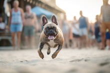 Environmental Portrait Photography Of An Aggressive French Bulldog Running On The Beach Against Outdoor Markets Background. With Generative AI Technology