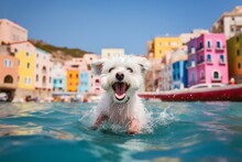 Medium Shot Portrait Photography Of A Happy Maltese Swimming Against Colorful Neighborhoods Background. With Generative AI Technology