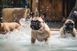 Group portrait photography of an aggressive french bulldog shaking off water after swimming against aquariums with outdoor exhibits background. With generative AI technology