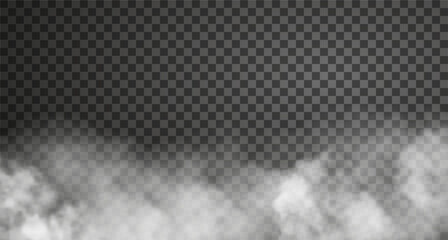 Wall Mural - Cloudy fog isolated on transparent background. Realistic vector illustration. White haze or smoke effect 