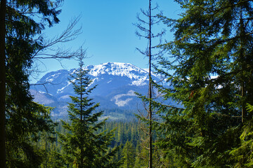 Panorama of snowy Tatra mountains in spring, south Poland