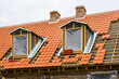 Historic house clay tiles roofing replacement and restoration of roof structures
