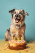 Funny dog wearing party hat, birthday celebration card. Happy pets. Generative AI