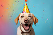 beige labrador retriever wearing a party hut smiling and having fun at a party with blue background