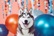 husky wearing a party hut smiling and having fun at a party with party background with balloons and streamers
