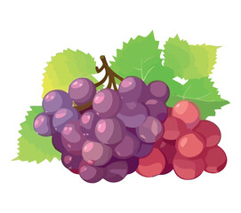 Sticker - Fresh grape bunch nature juicy refreshment