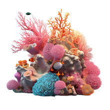 Small Coral Reef Isolated On Transparent Background