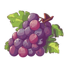 Poster - Juicy grape bunch on white backdrop