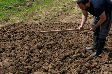 A man is hoeing the soil in his garden to prepare it for vegetable planting on a sunny spring day. Agricultural concept.