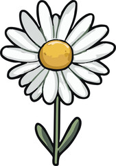 Wall Mural - chamomile png graphic clipart design