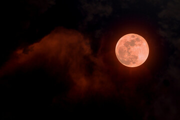 Wall Mural - Image of a cloudy sky at night with a red full moon.