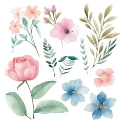 Wall Mural - Watercolor floral illustration bouquet set collection, wedding stationary, flower background