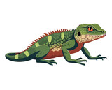Fototapeta Zwierzęta - Colorful reptile animal