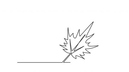 Wall Mural - Maple leaf outline self drawing animation. Line art. Luma matte. Green color.	