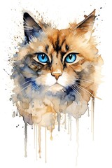 Generative ai illustration of ragdoll cat watercolor painting style isolated on white background